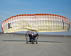 TrikeBuggy Powered Paraglider Ultralight Aircraft